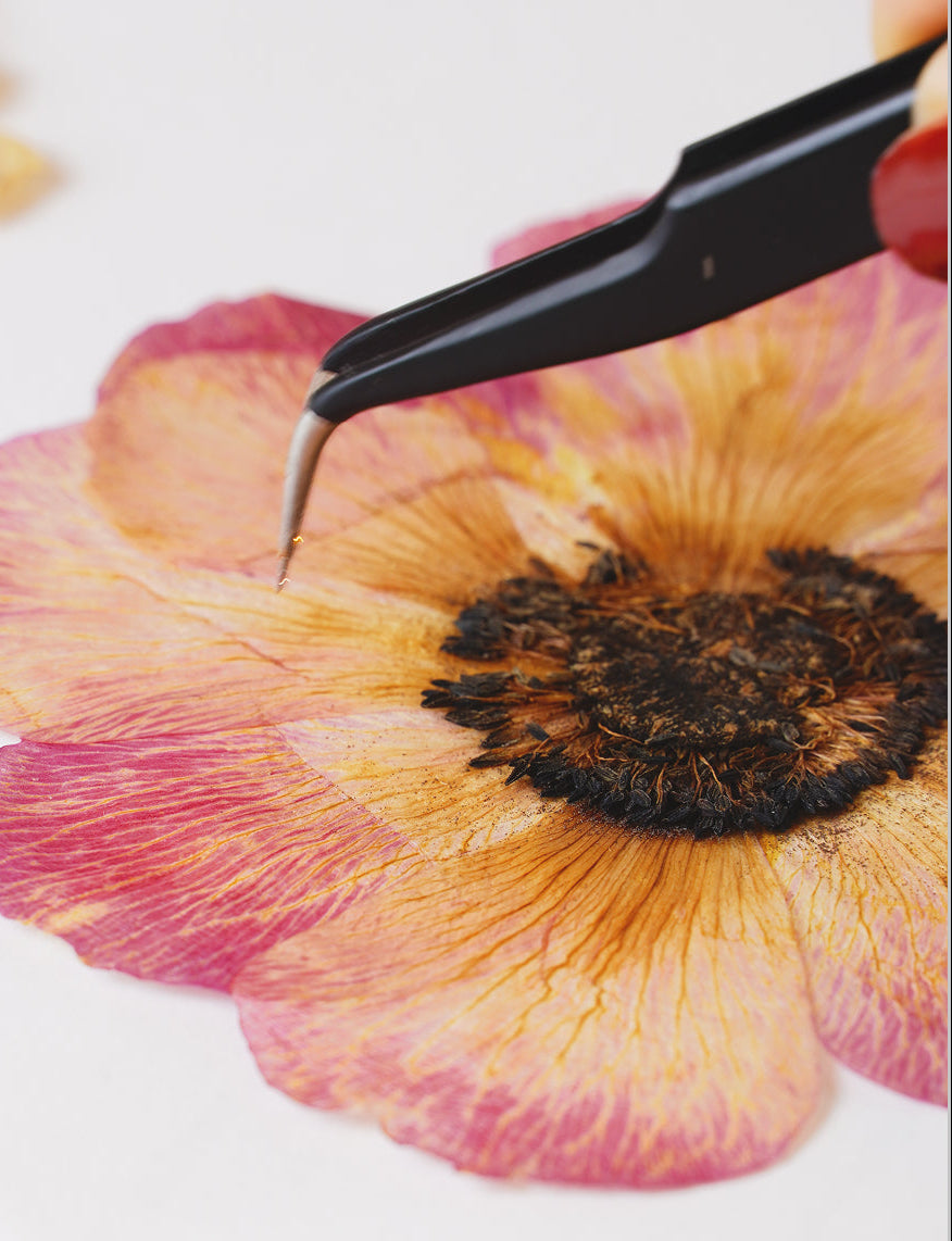 From Flower to Pattern: How We Preserve Nature Through Design
