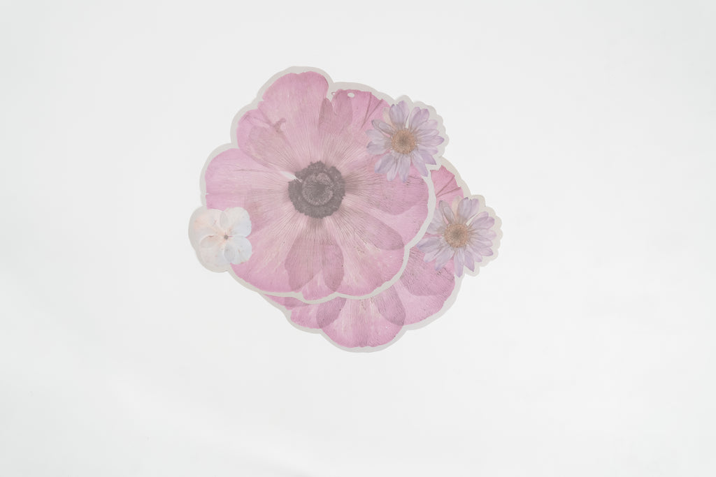 Anemone Paper Placemat