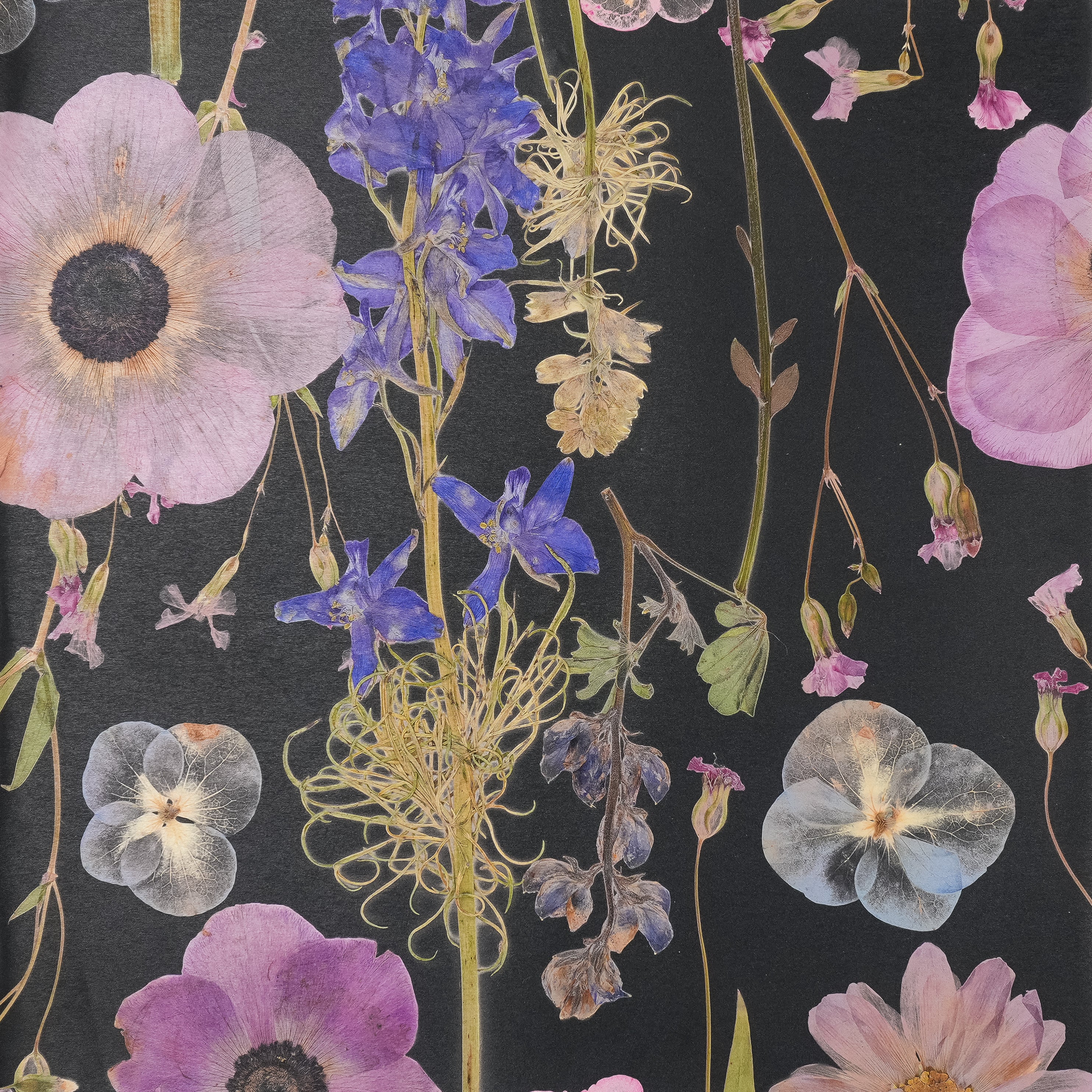 Black Spring Wallpaper