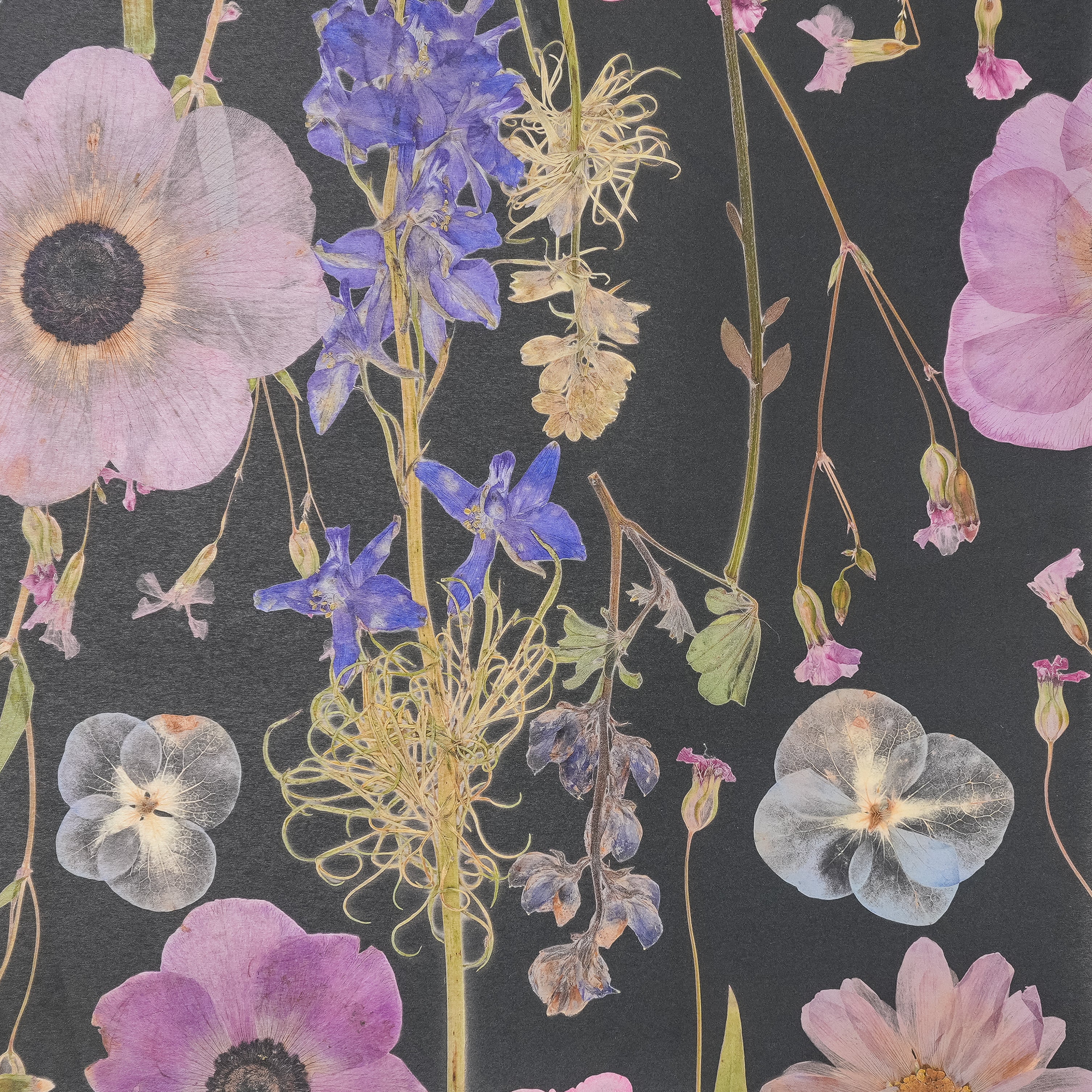 Black Spring Wallpaper