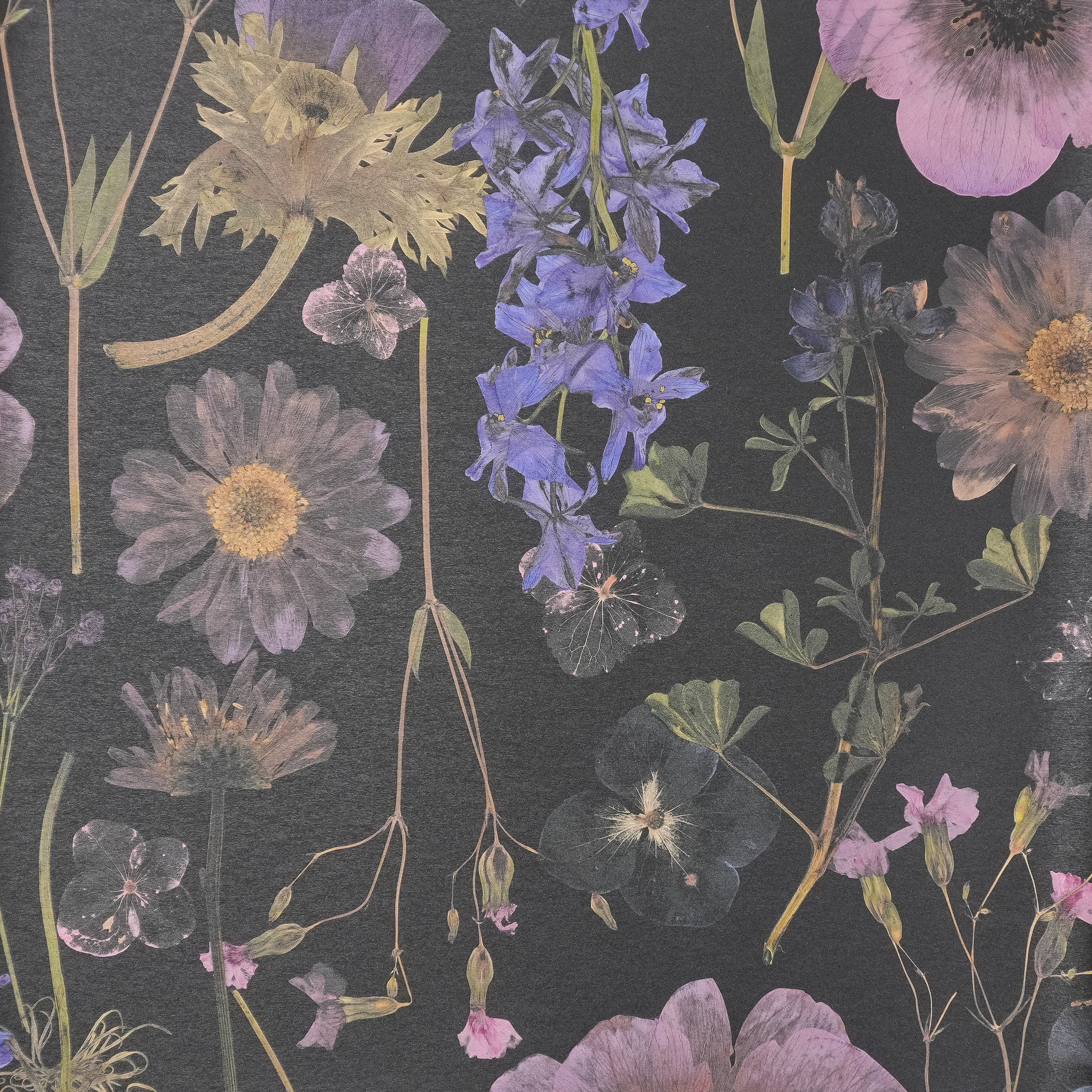 Black Spring Wallpaper