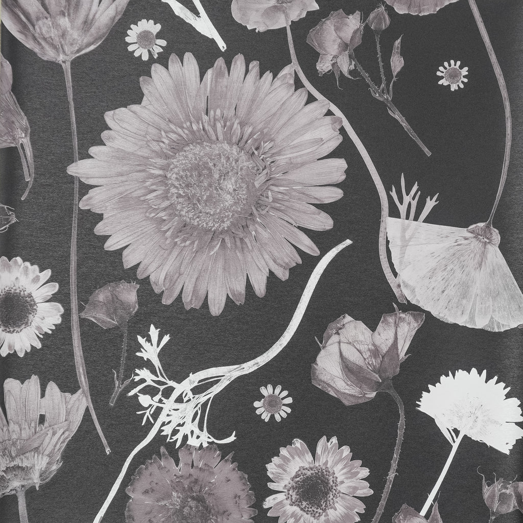 Black & White Summer Wallpaper