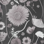 Black & White Summer Wallpaper