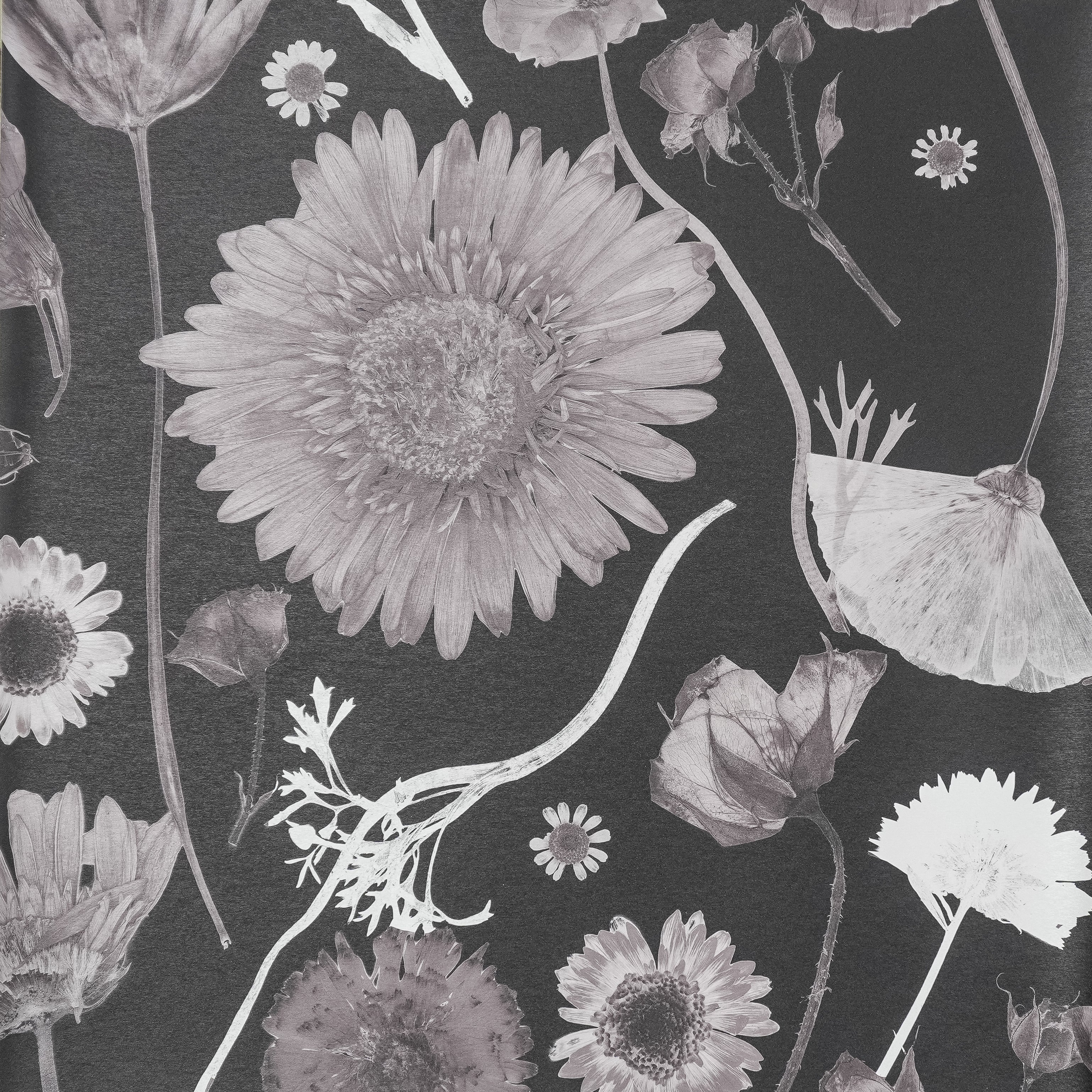 Black & White Summer Wallpaper