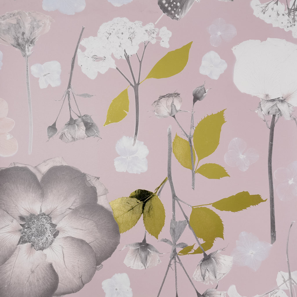 Blush & Gold Arya Wallpaper