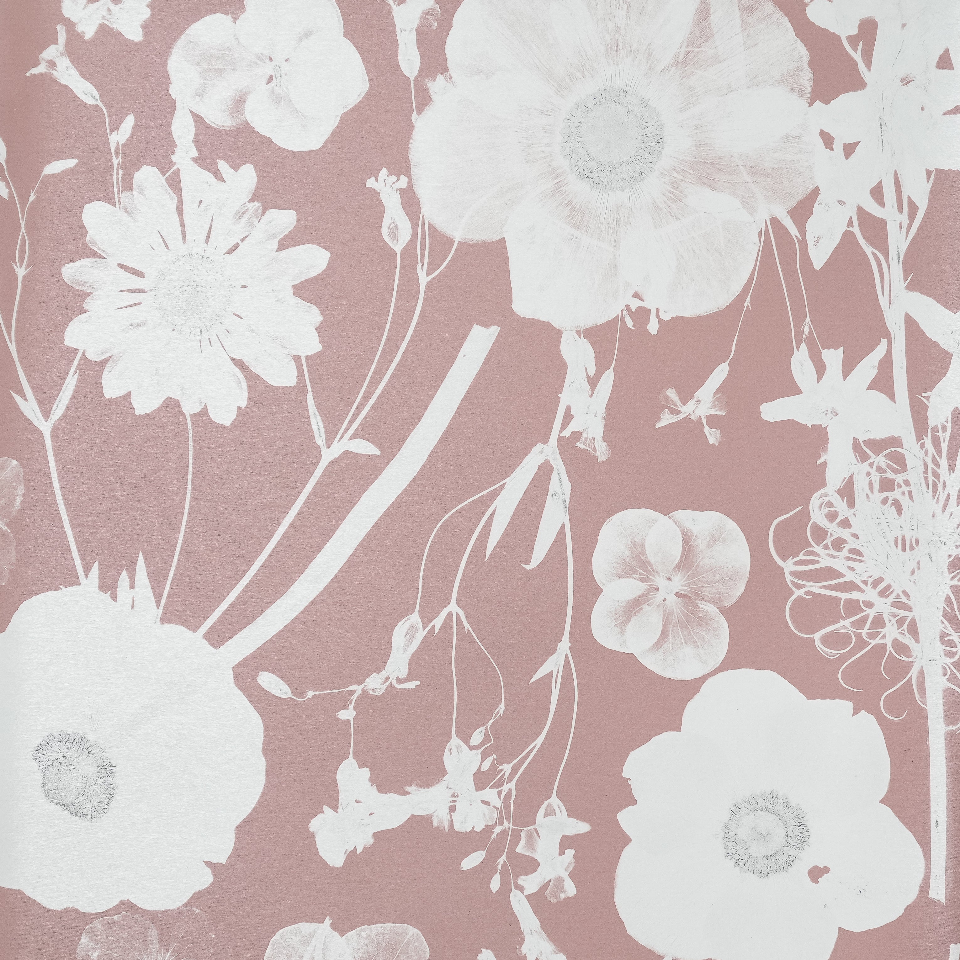 Blush Spring Wallpaper