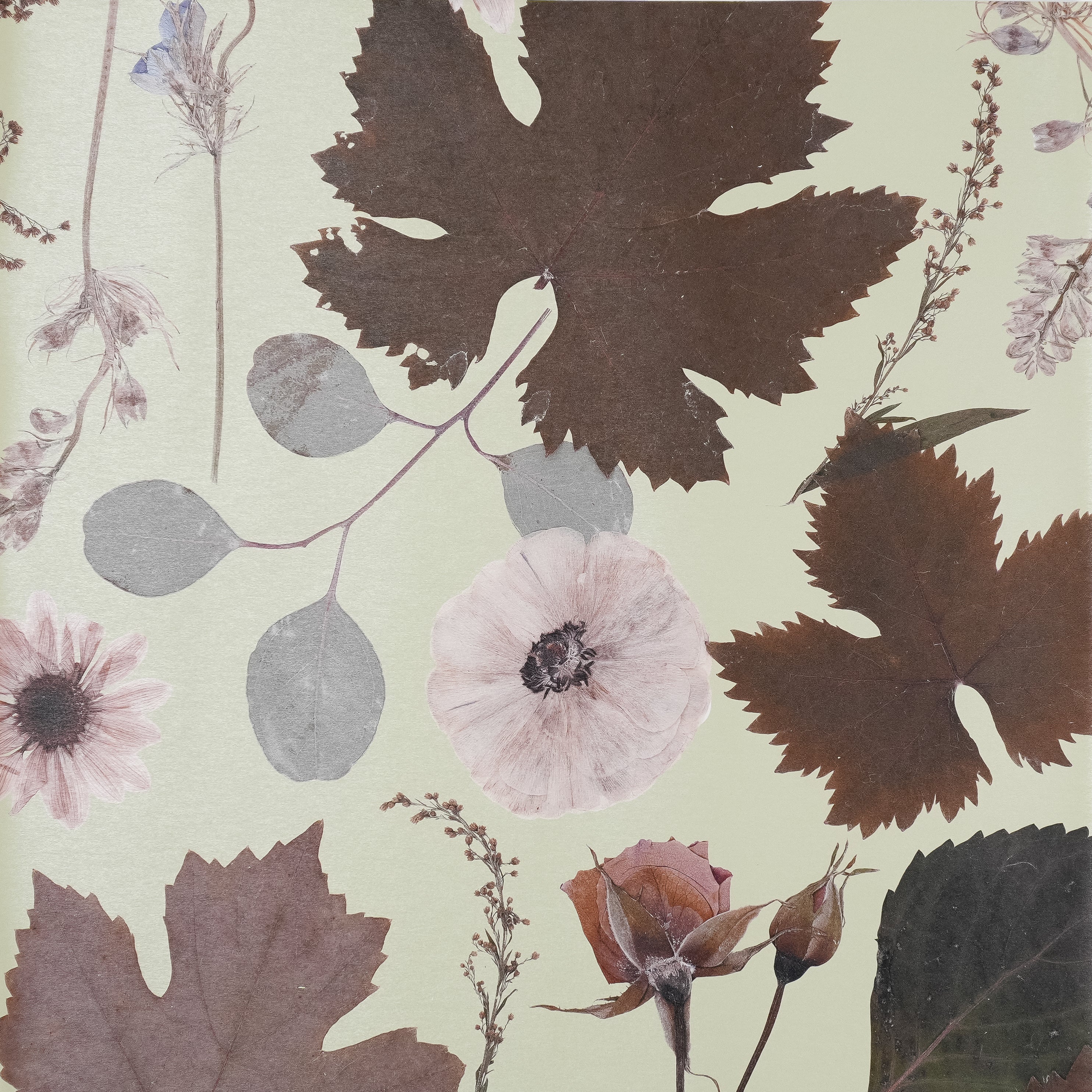 Olive Forest Wallpaper