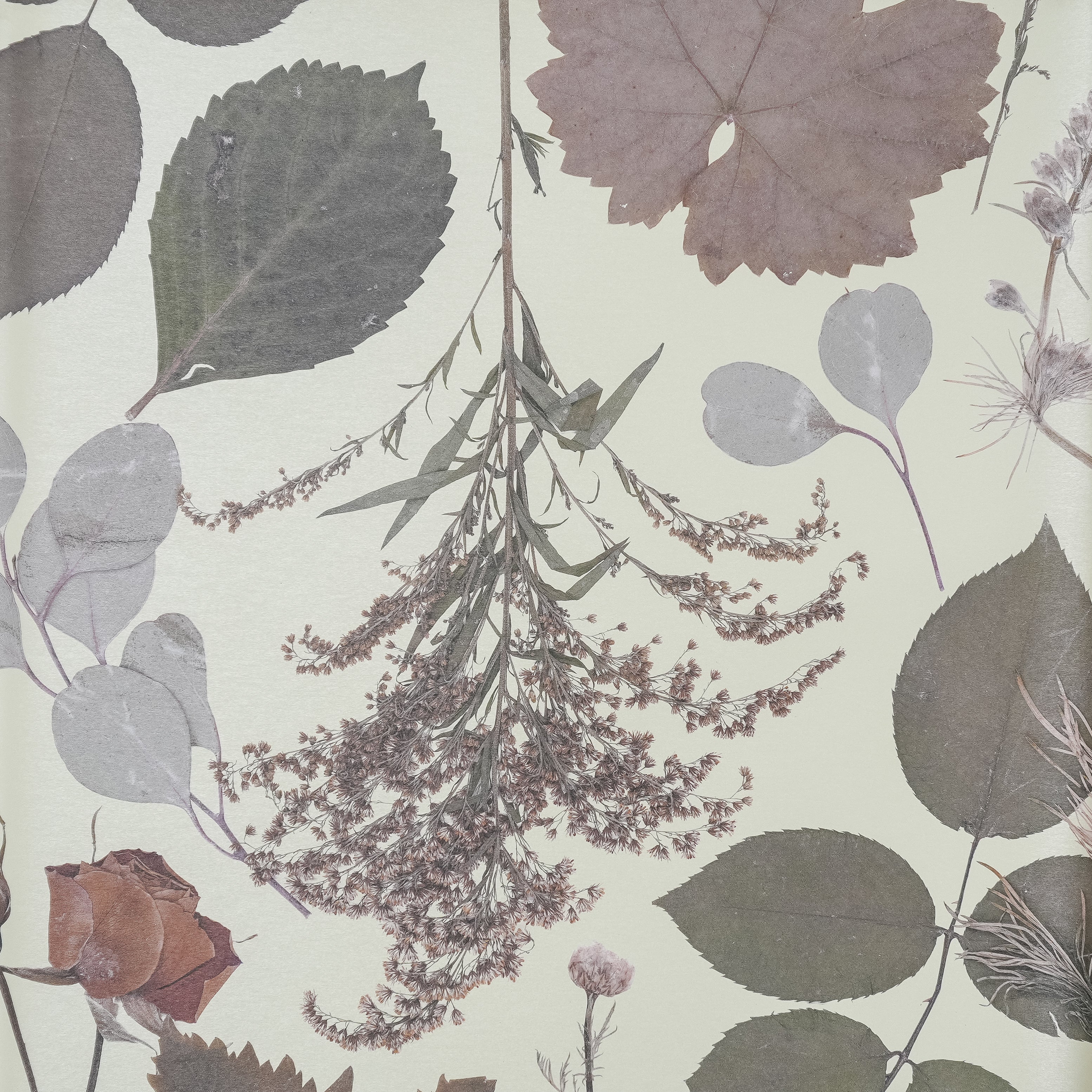 Olive Forest Wallpaper