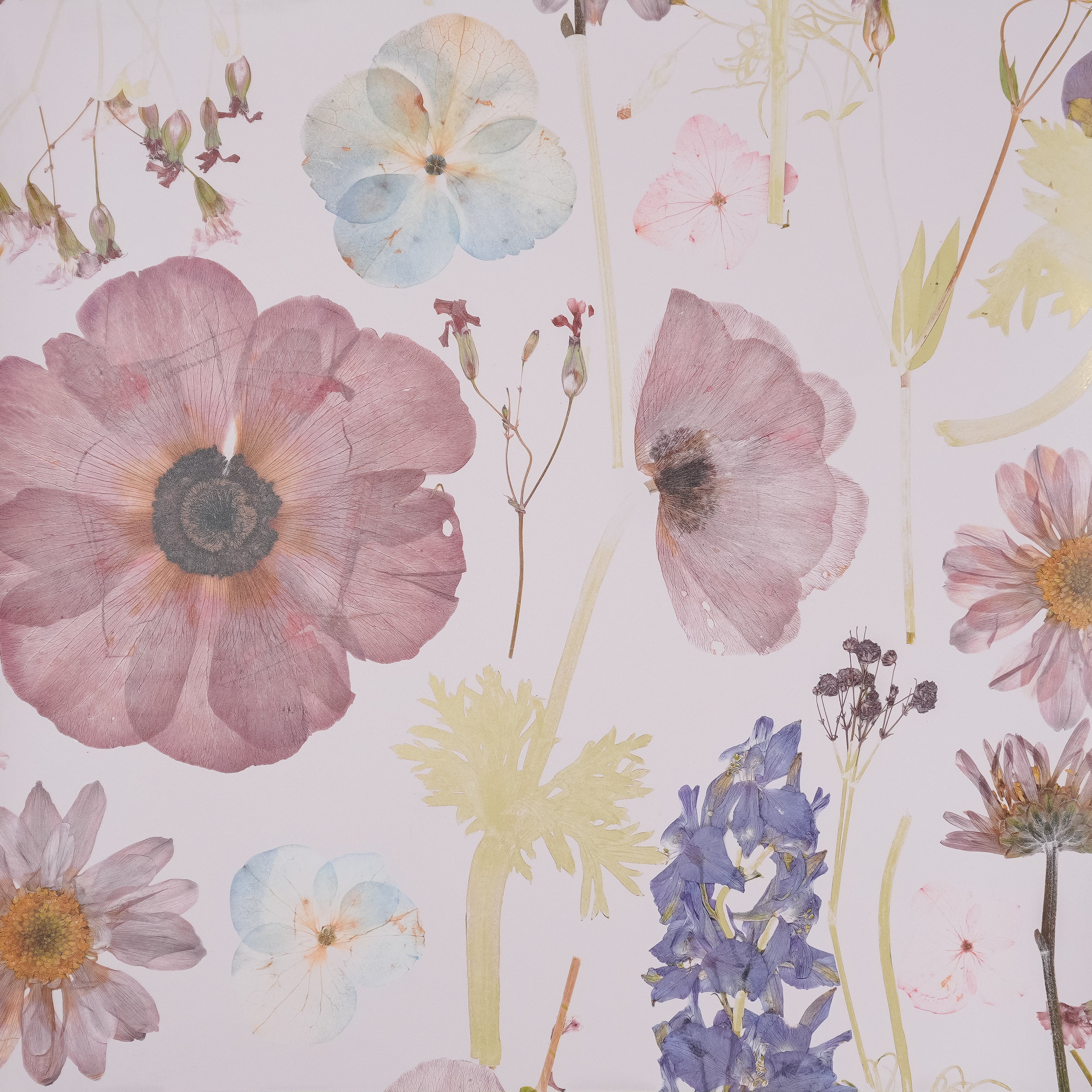 Rose & Gold Spring Wallpaper