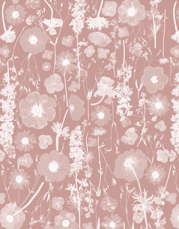 Blush Spring Wallpaper