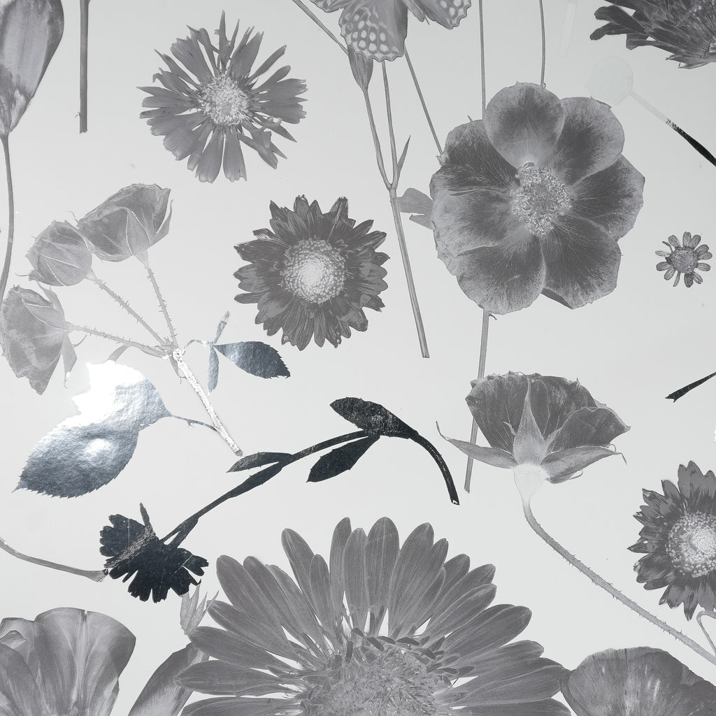 White & Silver Summer Wallpaper