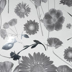 White & Silver Summer Wallpaper