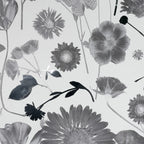 White & Silver Summer Wallpaper