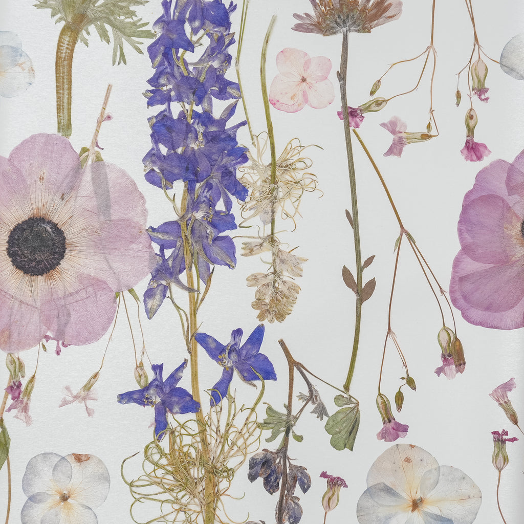 White Spring Wallpaper