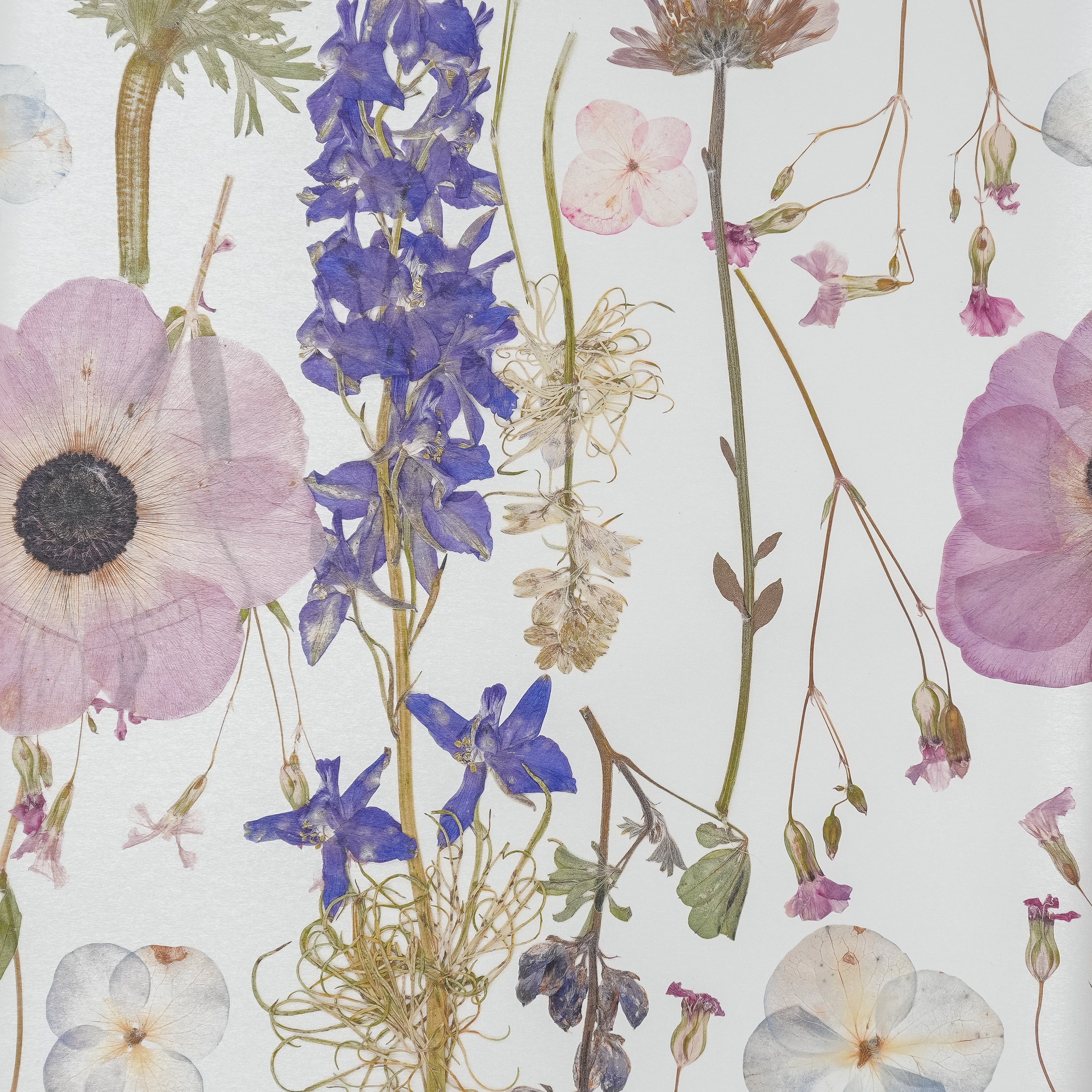 White Spring Wallpaper