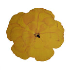 Golden Bloom Botanical Placemats