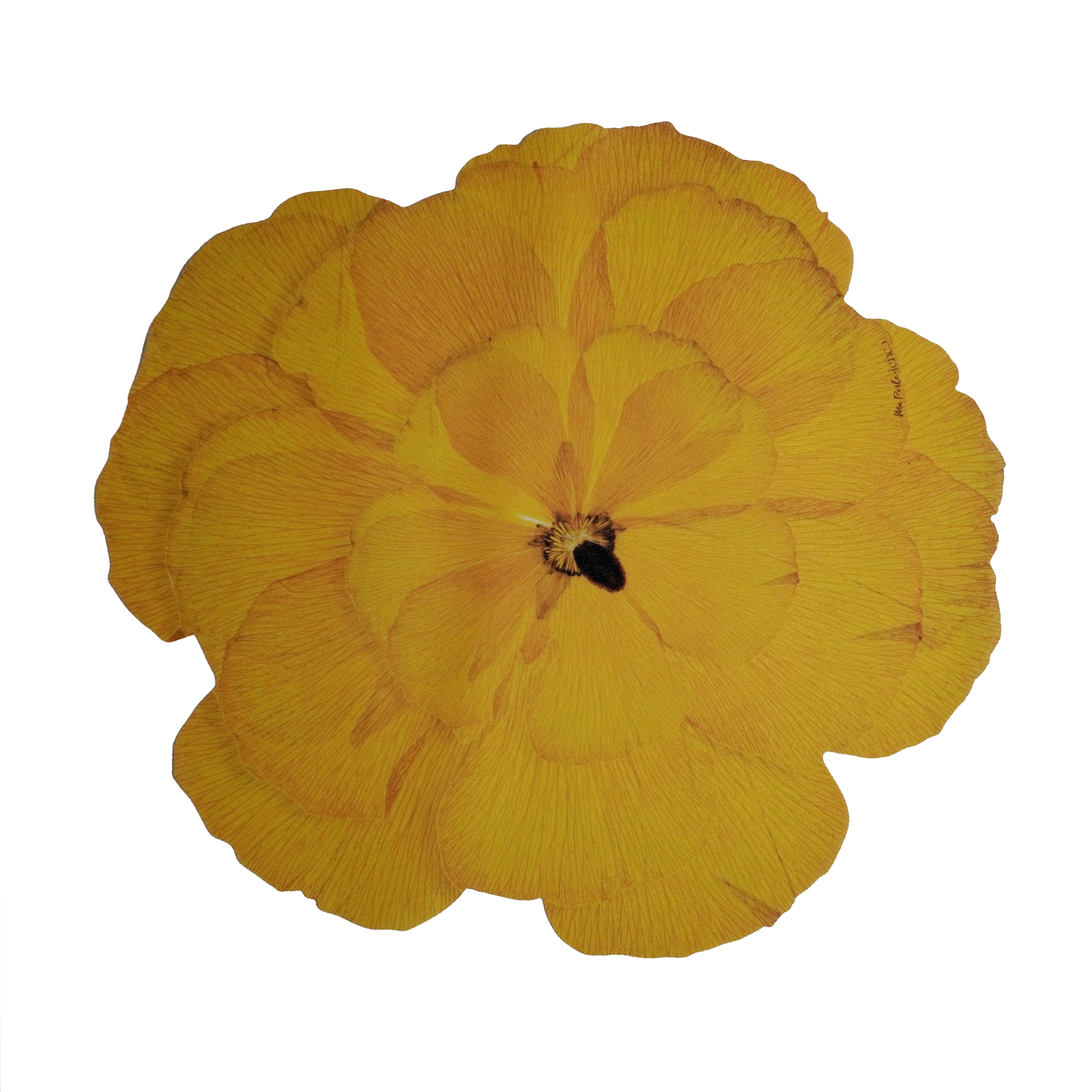 Golden Bloom Botanical Placemats