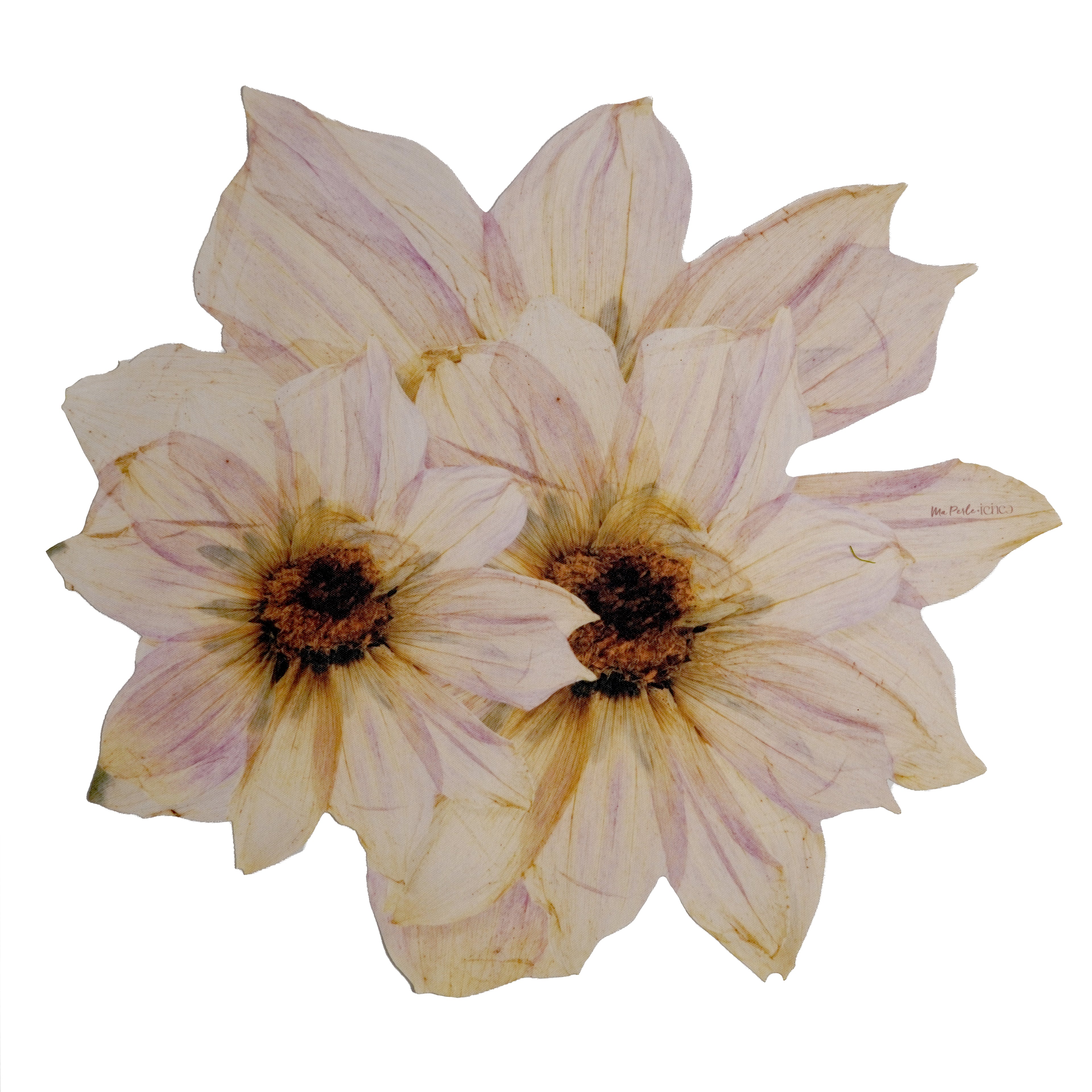 Peony Botanical Placemats