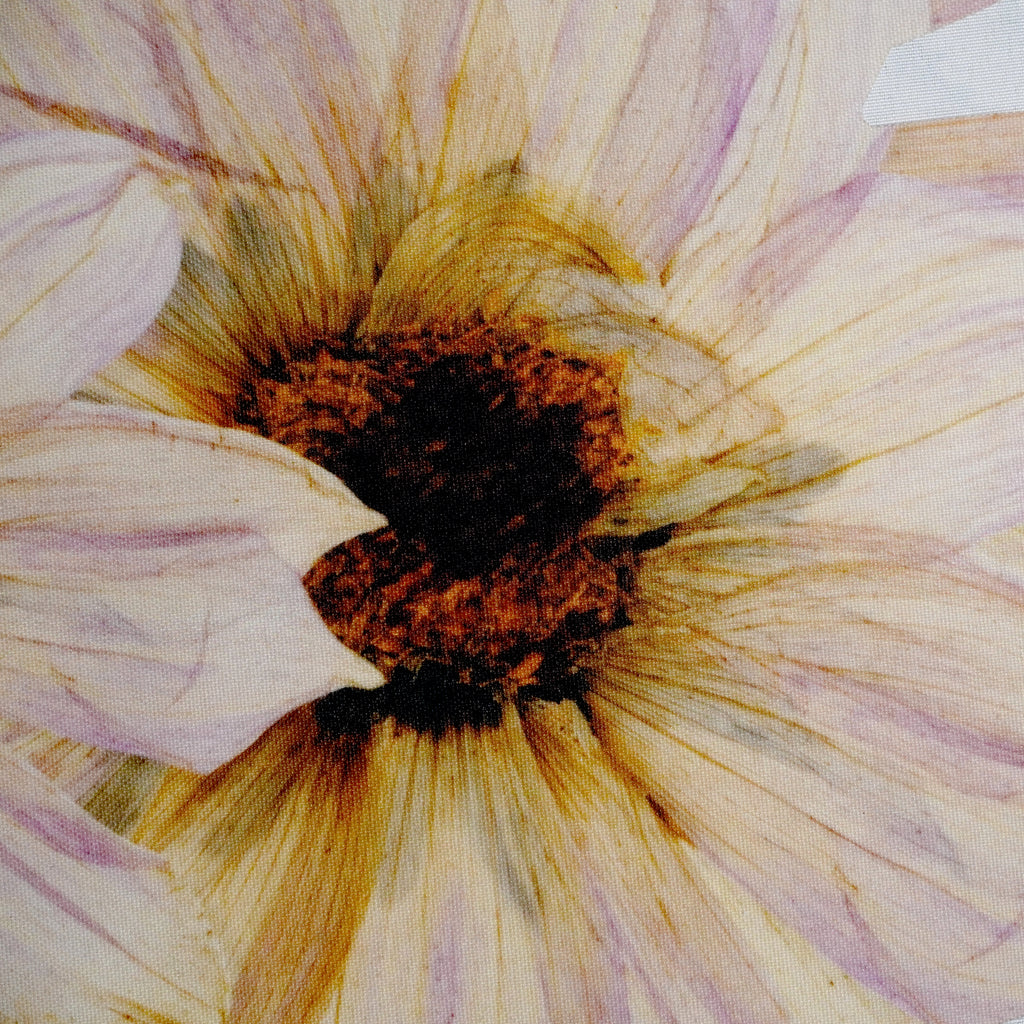 Peony Botanical Placemats