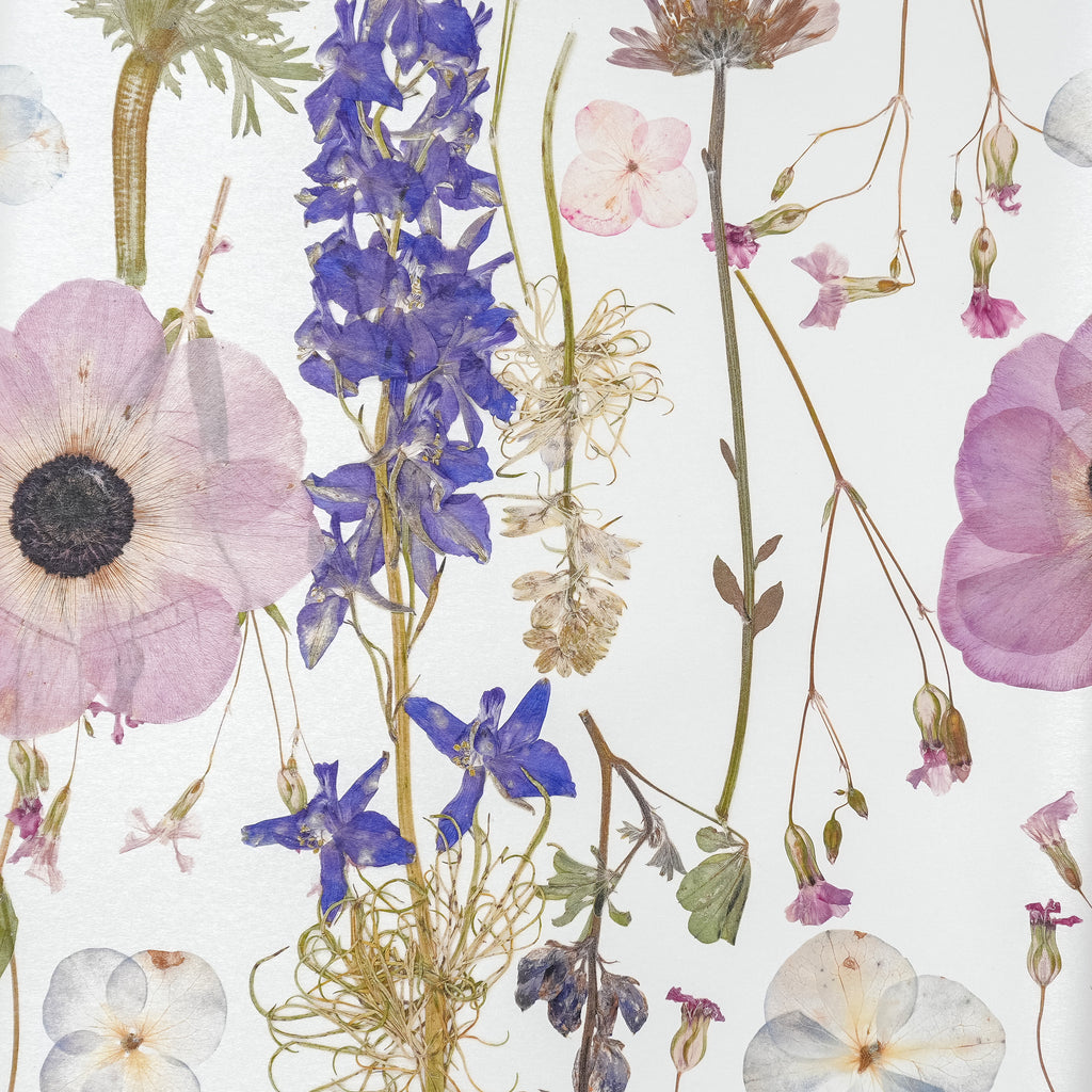 White Spring Wallpaper