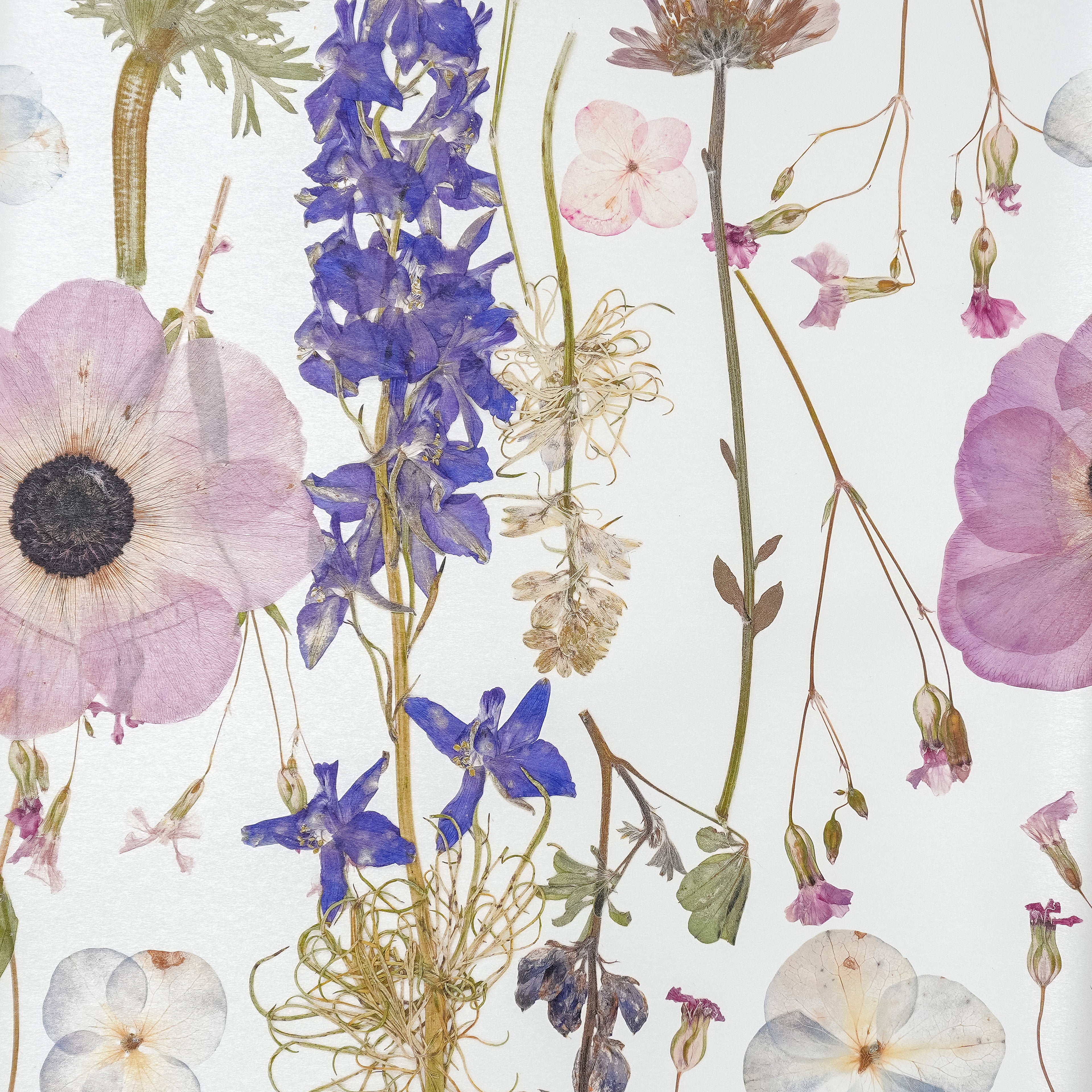 White Spring Wallpaper