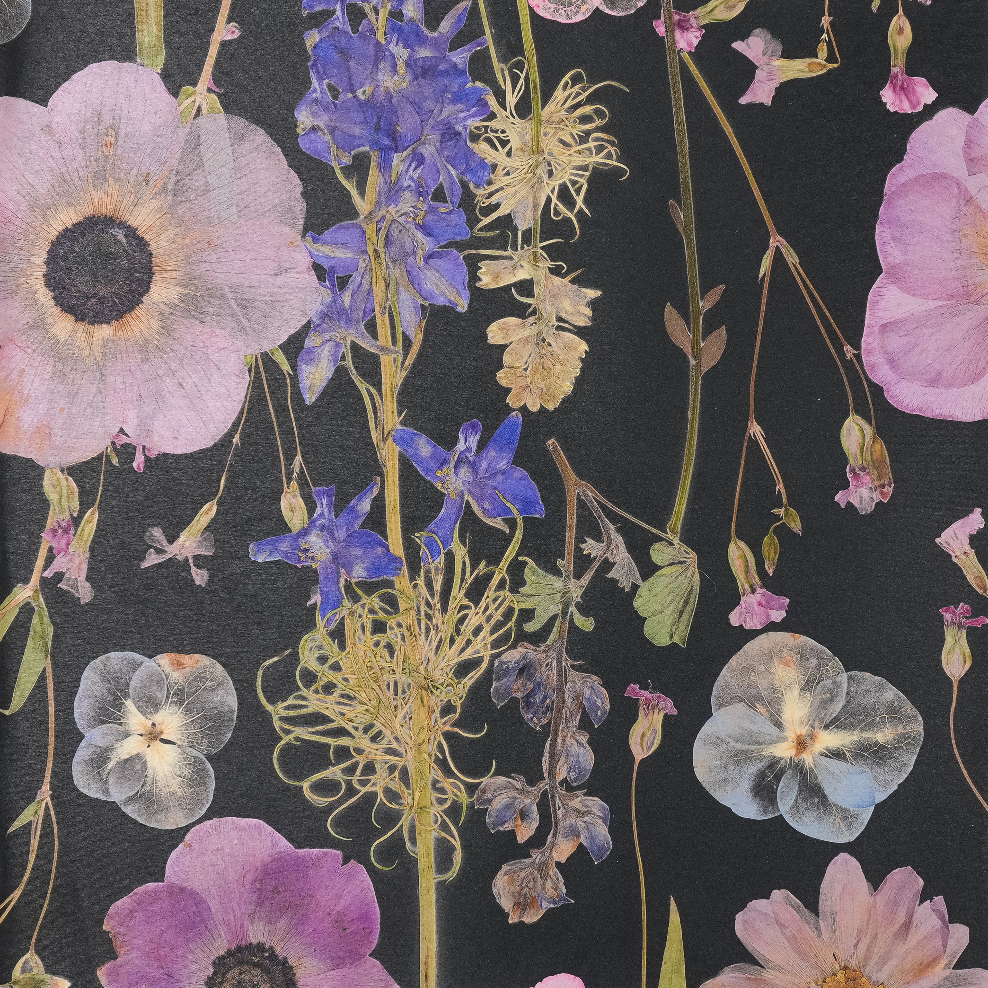 Black Spring Wallpaper